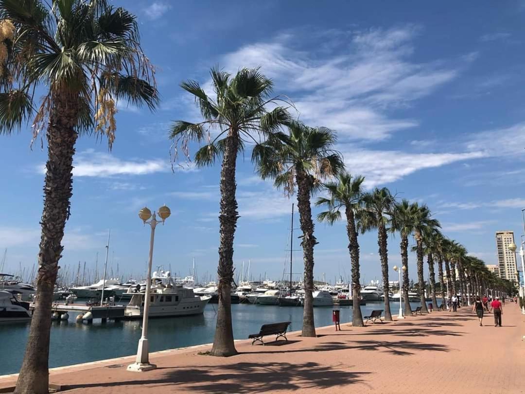 Estudio De Lujo Casaturis En El Corazon De Alicante A114 Exterior foto